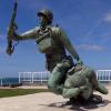Birds' Omaha Beach